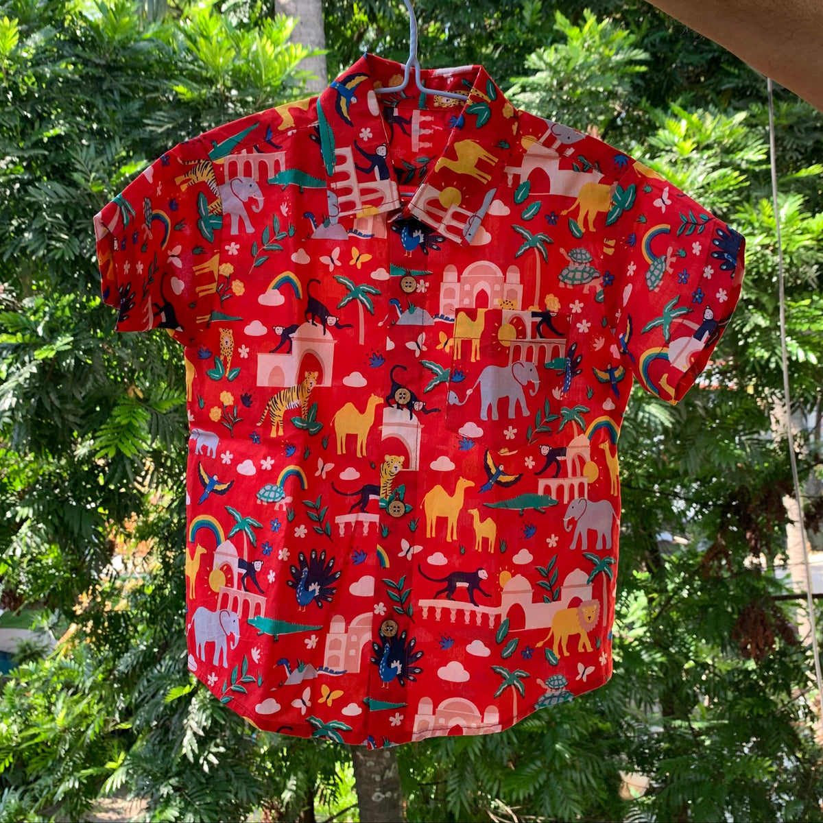 INDIAN SAFARI