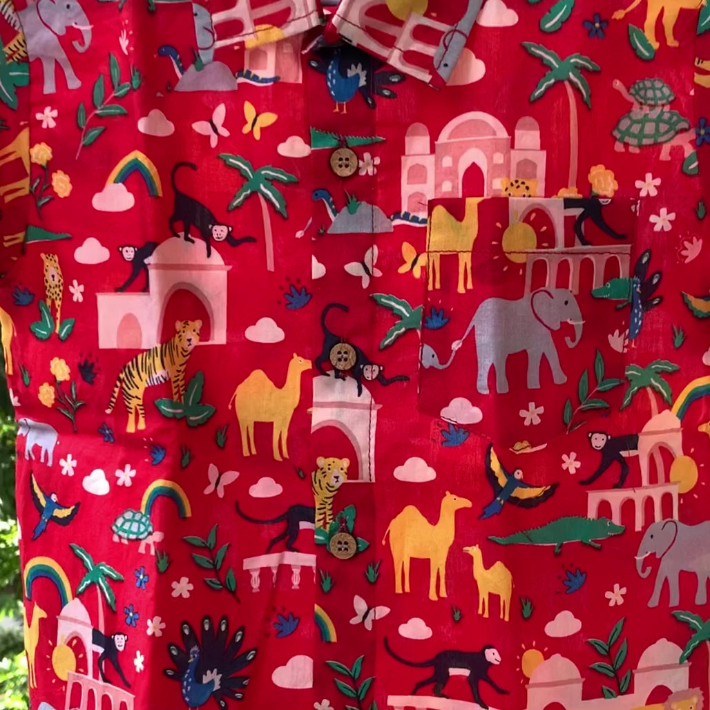 INDIAN SAFARI